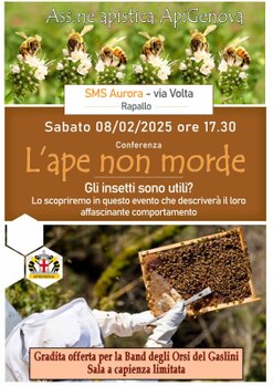 Le api l'ape non morde